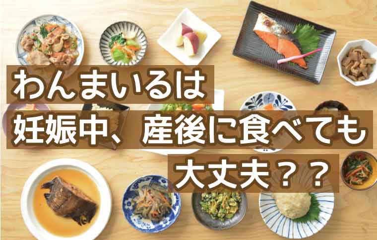 わんまいる-産後